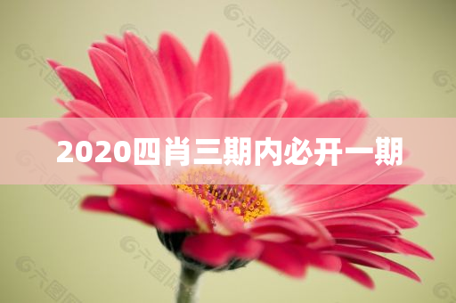 2020四肖三期内必开一期