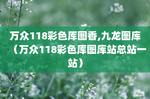 万众118彩色厍图香,九龙图库（万众118彩色厍图库站总站一站）