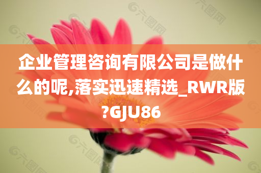 企业管理咨询有限公司是做什么的呢,落实迅速精选_RWR版?GJU86