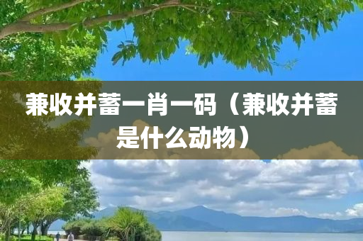 兼收并蓄一肖一码（兼收并蓄是什么动物）