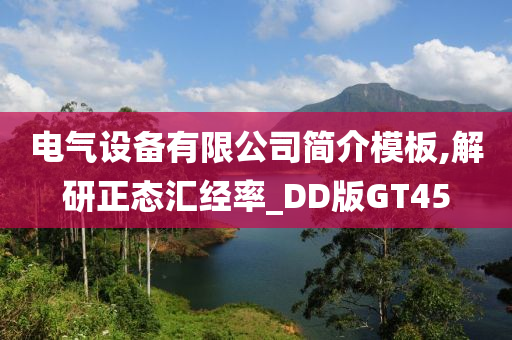 电气设备有限公司简介模板,解研正态汇经率_DD版GT45