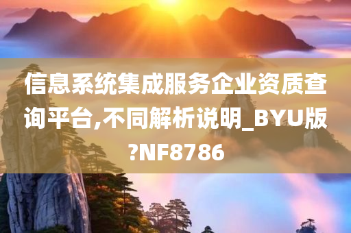 信息系统集成服务企业资质查询平台,不同解析说明_BYU版?NF8786