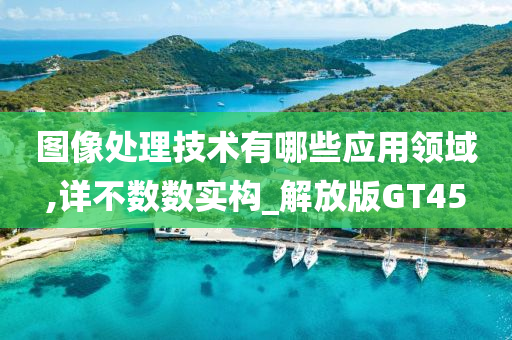 图像处理技术有哪些应用领域,详不数数实构_解放版GT45