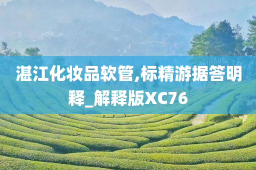 湛江化妆品软管,标精游据答明释_解释版XC76