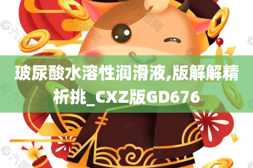 玻尿酸水溶性润滑液,版解解精析挑_CXZ版GD676