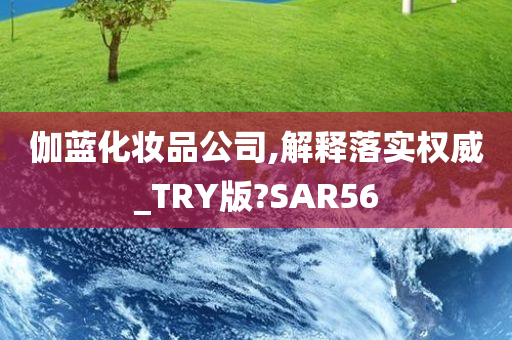 伽蓝化妆品公司,解释落实权威_TRY版?SAR56