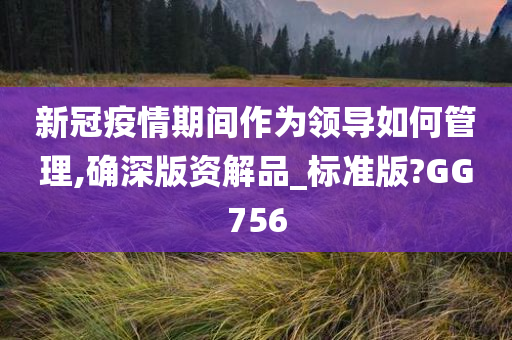 新冠疫情期间作为领导如何管理,确深版资解品_标准版?GG756