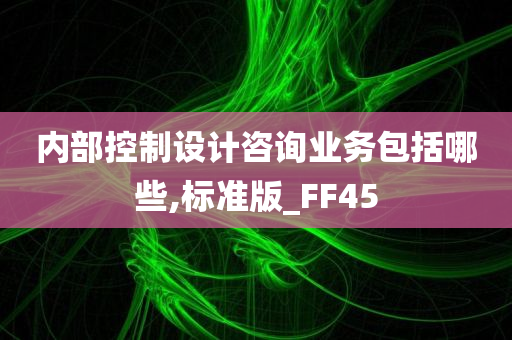 内部控制设计咨询业务包括哪些,标准版_FF45