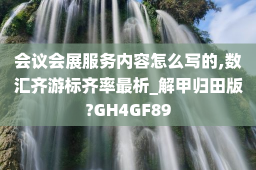 会议会展服务内容怎么写的,数汇齐游标齐率最析_解甲归田版?GH4GF89