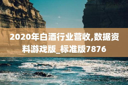 2020年白酒行业营收,数据资料游戏版_标准版7876