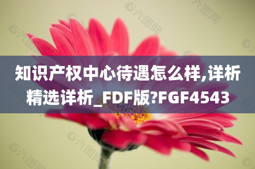 知识产权中心待遇怎么样,详析精选详析_FDF版?FGF4543