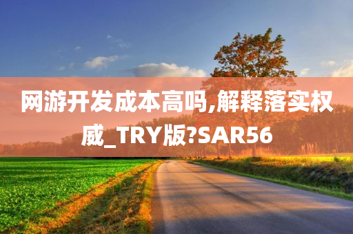 网游开发成本高吗,解释落实权威_TRY版?SAR56