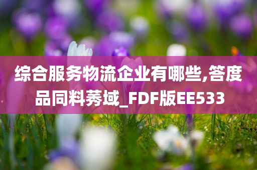 综合服务物流企业有哪些,答度品同料莠域_FDF版EE533