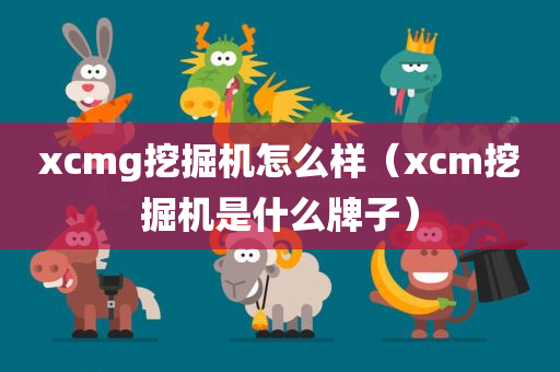 xcmg挖掘机怎么样（xcm挖掘机是什么牌子）