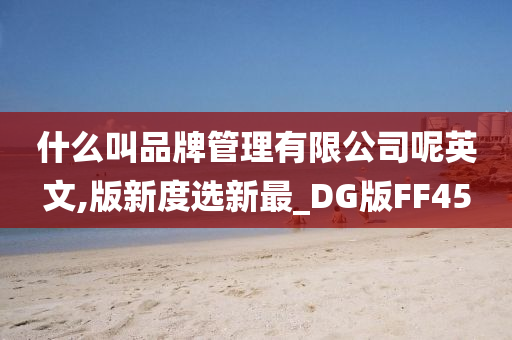 什么叫品牌管理有限公司呢英文,版新度选新最_DG版FF45