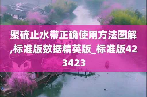 聚硫止水带正确使用方法图解,标准版数据精英版_标准版423423