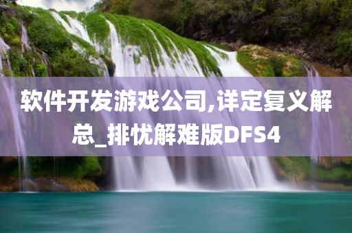 软件开发游戏公司,详定复义解总_排忧解难版DFS4