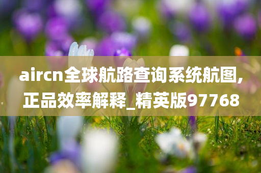 aircn全球航路查询系统航图,正品效率解释_精英版97768