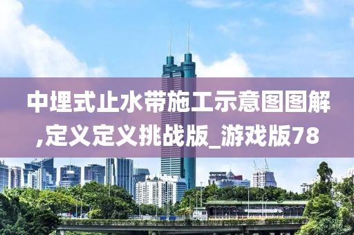 中埋式止水带施工示意图图解,定义定义挑战版_游戏版78