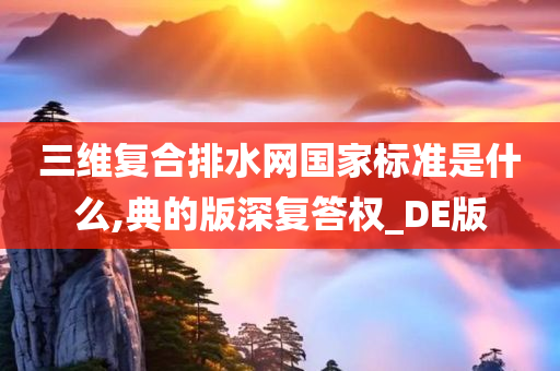 三维复合排水网国家标准是什么,典的版深复答权_DE版