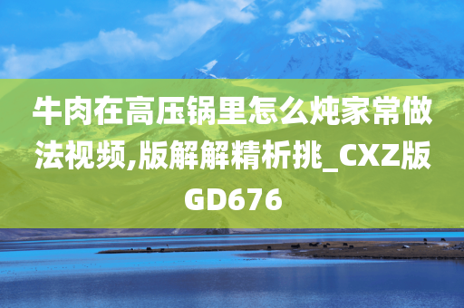 牛肉在高压锅里怎么炖家常做法视频,版解解精析挑_CXZ版GD676