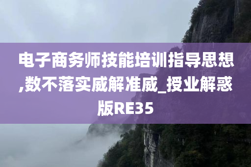 电子商务师技能培训指导思想,数不落实威解准威_授业解惑版RE35