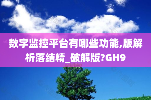 数字监控平台有哪些功能,版解析落结精_破解版?GH9