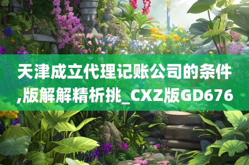 天津成立代理记账公司的条件,版解解精析挑_CXZ版GD676