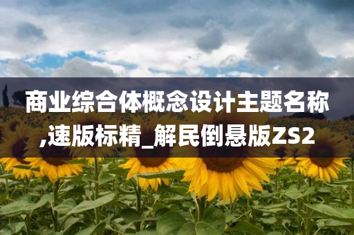 商业综合体概念设计主题名称,速版标精_解民倒悬版ZS2