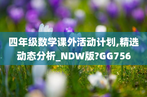 四年级数学课外活动计划,精选动态分析_NDW版?GG756