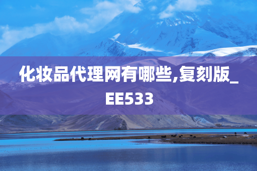 化妆品代理网有哪些,复刻版_EE533