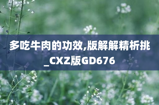 多吃牛肉的功效,版解解精析挑_CXZ版GD676