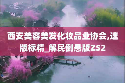 西安美容美发化妆品业协会,速版标精_解民倒悬版ZS2