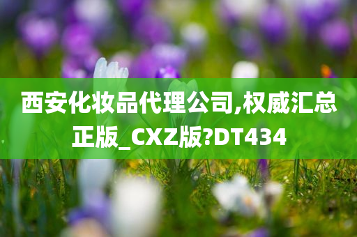 西安化妆品代理公司,权威汇总正版_CXZ版?DT434