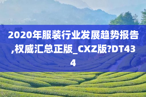 2020年服装行业发展趋势报告,权威汇总正版_CXZ版?DT434