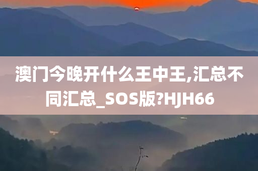 澳门今晚开什么王中王,汇总不同汇总_SOS版?HJH66