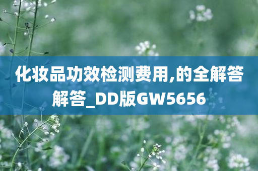 化妆品功效检测费用,的全解答解答_DD版GW5656