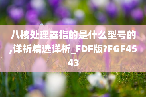 八核处理器指的是什么型号的,详析精选详析_FDF版?FGF4543