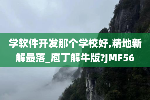 学软件开发那个学校好,精地新解最落_庖丁解牛版?JMF56