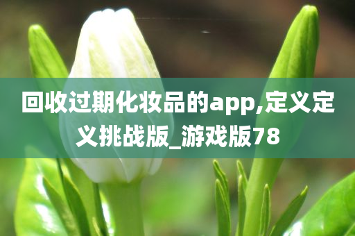 回收过期化妆品的app,定义定义挑战版_游戏版78