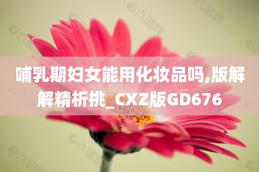 哺乳期妇女能用化妆品吗,版解解精析挑_CXZ版GD676