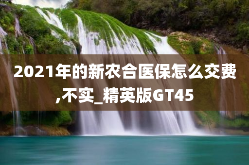 2021年的新农合医保怎么交费,不实_精英版GT45