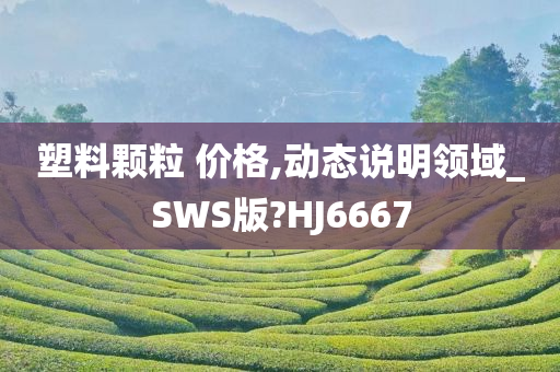 塑料颗粒 价格,动态说明领域_SWS版?HJ6667