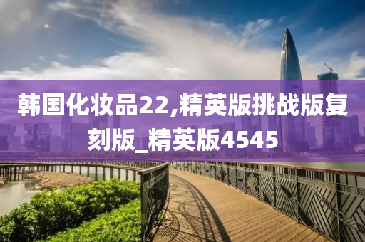 韩国化妆品22,精英版挑战版复刻版_精英版4545