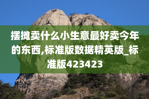 摆摊卖什么小生意最好卖今年的东西,标准版数据精英版_标准版423423