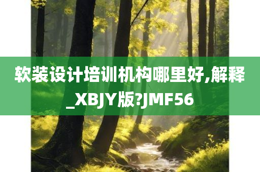 软装设计培训机构哪里好,解释_XBJY版?JMF56