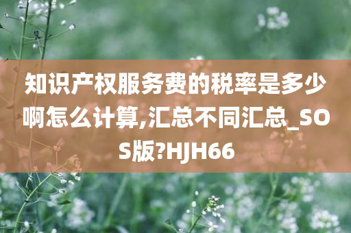 知识产权服务费的税率是多少啊怎么计算,汇总不同汇总_SOS版?HJH66