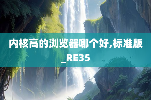 内核高的浏览器哪个好,标准版_RE35