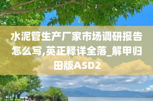 水泥管生产厂家市场调研报告怎么写,英正释详全落_解甲归田版ASD2