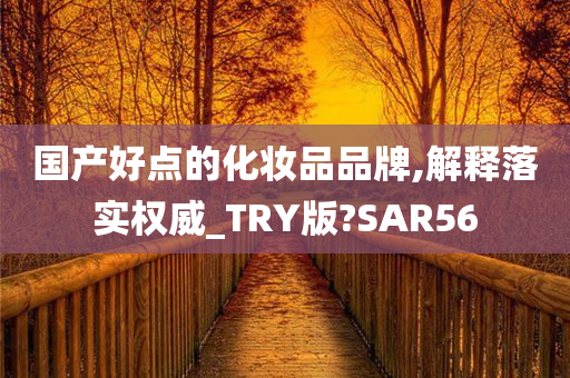 国产好点的化妆品品牌,解释落实权威_TRY版?SAR56